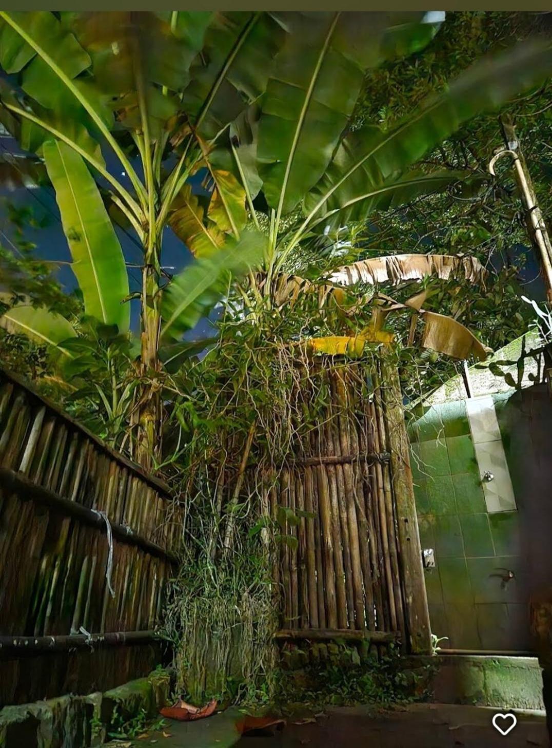 Suite Som Do Mar Da Vermelha Do Centro Ubatuba Exterior photo